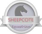 Sheepcote students - results 2011