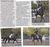 Sheepcote Successes