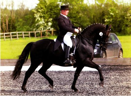 David Pincus riding Sheepcote Wurlitzer.