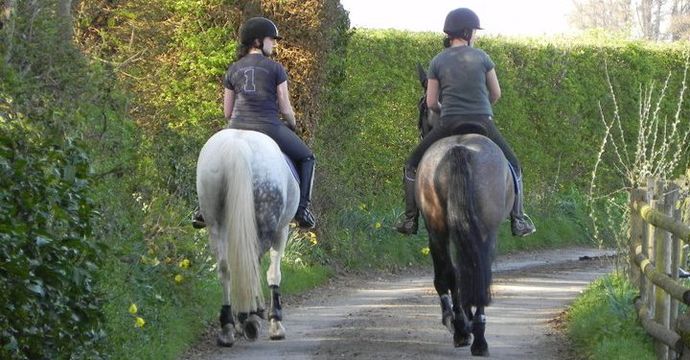 Walking the horses out after training.