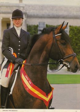 Serena Pincus riding Cassander, British Dressage National Champion