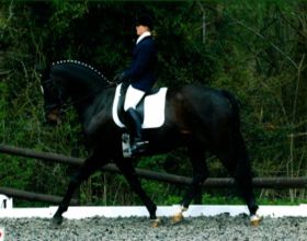 Kara Smith riding Sheepcote Nairobi, former working pupil at Sheepcote.