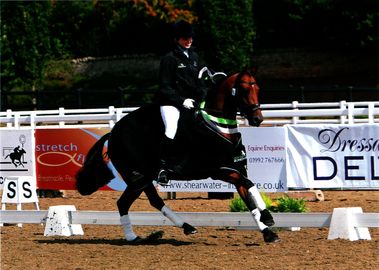 Lucy Pincus riding Sheepcote Sandmartin.