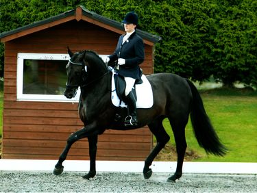 Pip Turner riding Sheepcote Rolex