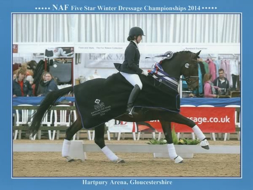 Advanced Medium Success at NAF Five Star Championships Advanced Medium Success at NAF Five Star Championships