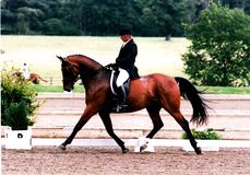 David Pincus riding Sheepcote Whistle