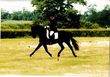 David Pincus riding Sheepcote Wurlitzer