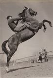 Leopold Brustein, Russian cavalry officer and Certified Riding Master, early instructor of David Pincus