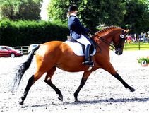 Kara Smith riding Sheepcote Catkin