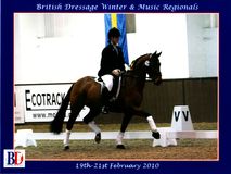 Lucy Pincus riding Sheepcote Sandmartin