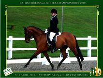 Lucy Pincus riding Sheepcote Sandmartin