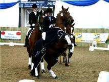 Lucy Pincus riding Sheepcote Sandmartin