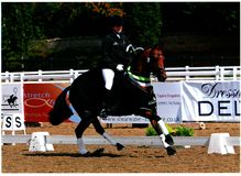 Lucy Pincus riding Sheepcote Sandmartin