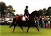 Serena Pincus riding Cassander, BD National Champion