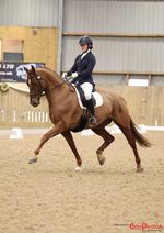 Sheepcote Jackson winner of the medium freestyle winter regionals