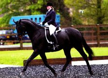 Kara Smith riding Sheepcote Radici