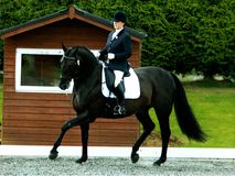 Pip Turner riding Sheepcote Rolex