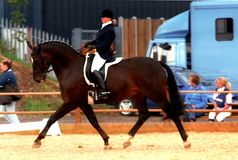 Kara Smith riding Sheepcote Nairobi