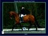 Kara Smith riding Sheepcote Catkin