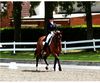 Emma Leech riding Sheepcote Diorissima in the FEI Young Riders