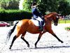 Kara Smith riding Sheepcote Catkin, former working pupil